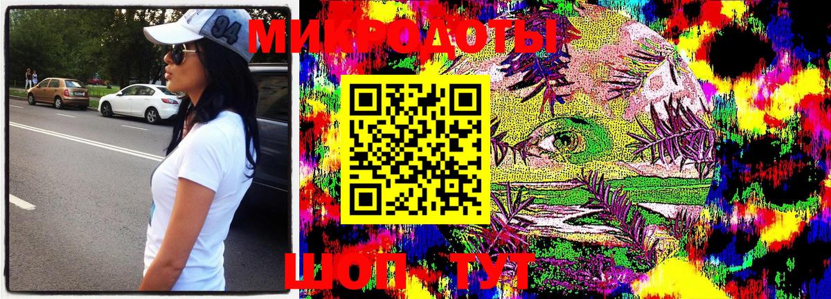 Псилоцибиновые грибы Psilocybe Ялта