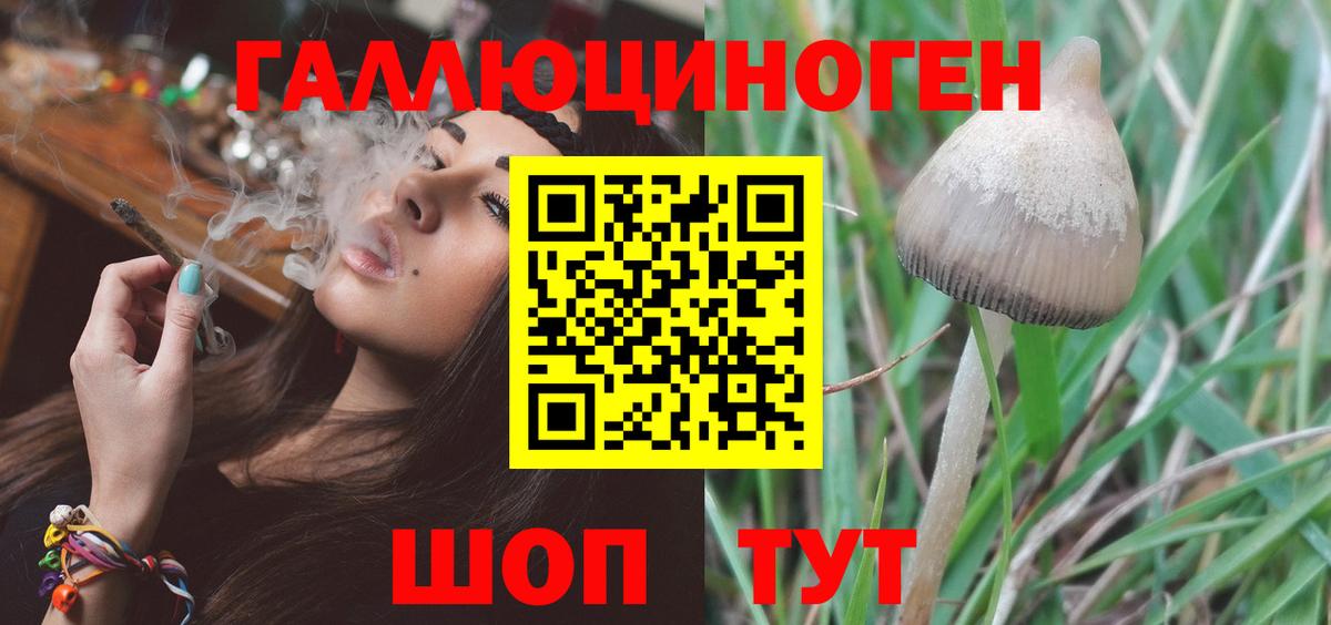 Галлюциногенные грибы прущие грибы  Псилоцибиновые грибы Psilocybe  Вход с VPN  Ялта 